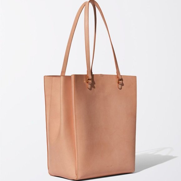 Auxiliary Handbags - Aritzia Auxiliary ECKHOUT Tote